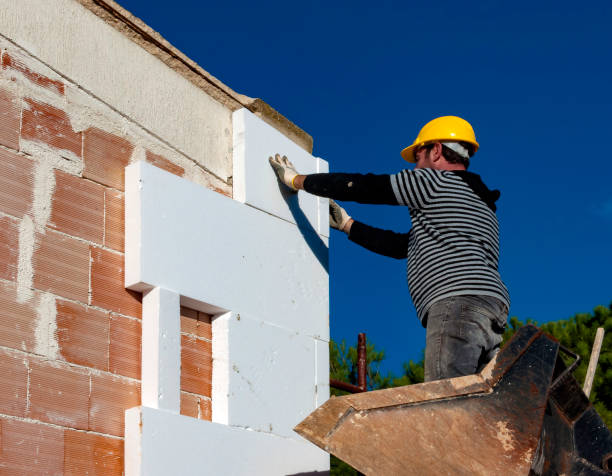 Best DIY Insulation Kits and Guidance in Lake Of The Woods, VA